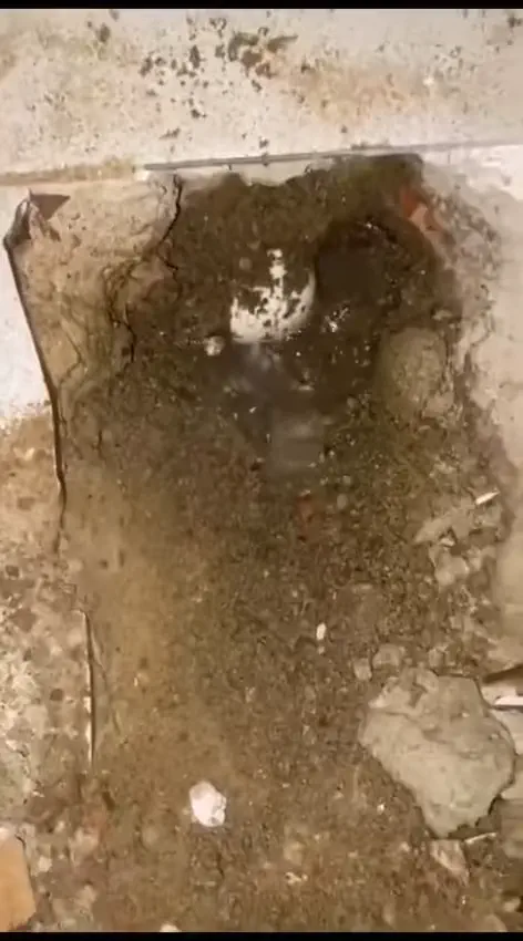 istanbul temiz su kacagi bulma